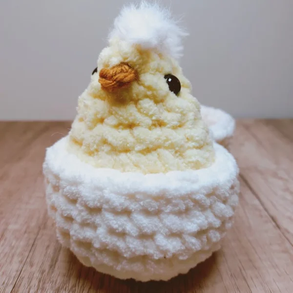 Handmade Crochet Chick – From Nicola