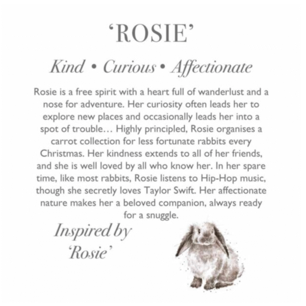 Wrendale ‘Rosie’ Rabbit Plush Character-Regular Size - Image 3