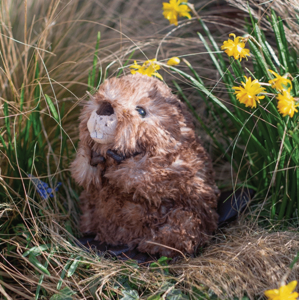 Wrendale Chester Beaver Medium Plush - Image 2