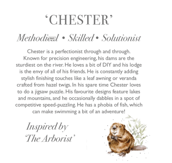 Wrendale Chester Beaver Medium Plush - Image 3